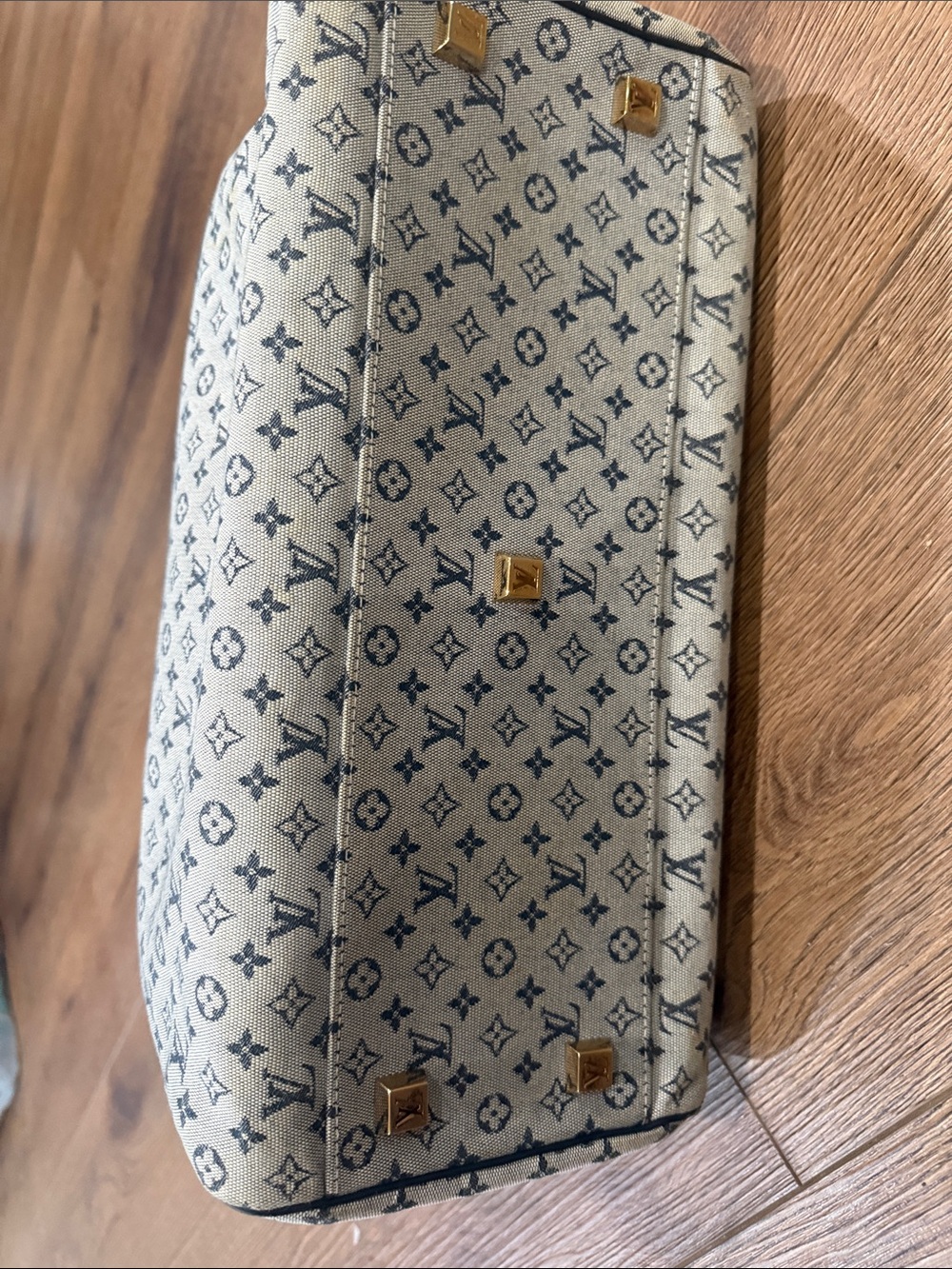Louis Vuitton Monogram Mini Lin Josephine GM - Picture 4 of 6